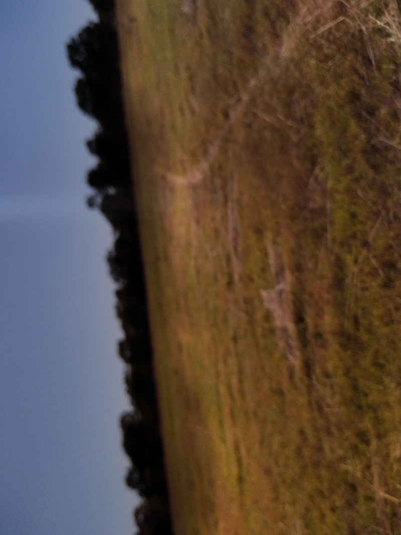 Photograph of Circular Grass Field